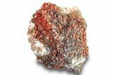 Ruby Red Vanadinite Crystals on Black & White Barite - Top Quality #253388-2